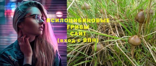герыч Аркадак