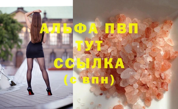 гидра Новодвинск